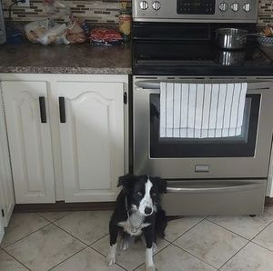 Meet your Posher, Trevor